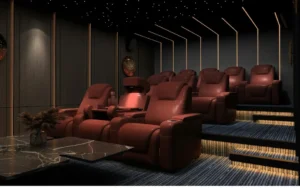 theater room in house
